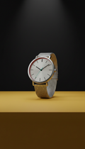 Minimalist stainless steel watch